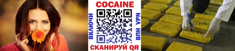 Кокаин Fish Scale  купить наркоту  Белозерск 