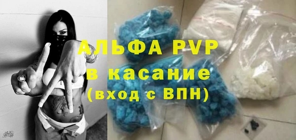 гашик Аркадак