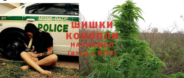 гашик Аркадак