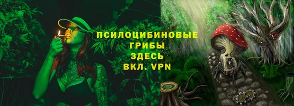 СК Арсеньев