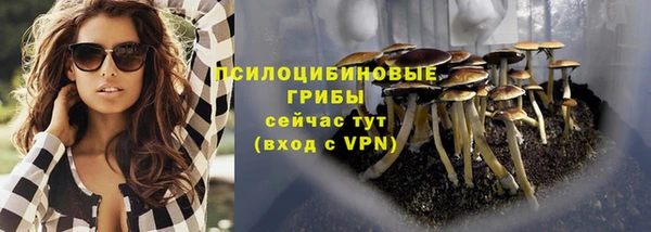 СК Арсеньев