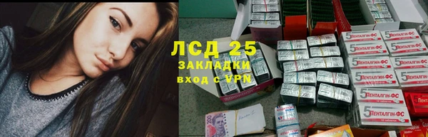 гашик Аркадак