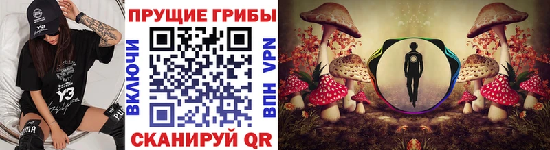 что такое   Белозерск  Псилоцибиновые грибы мицелий 