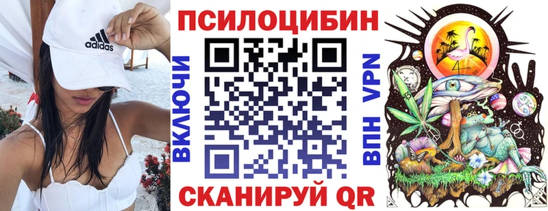 Псилоцибиновые грибы Psilocybe Белозерск